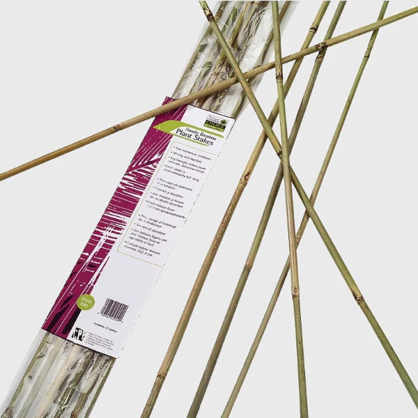 Bundle of bamboo plant stakes for garden support