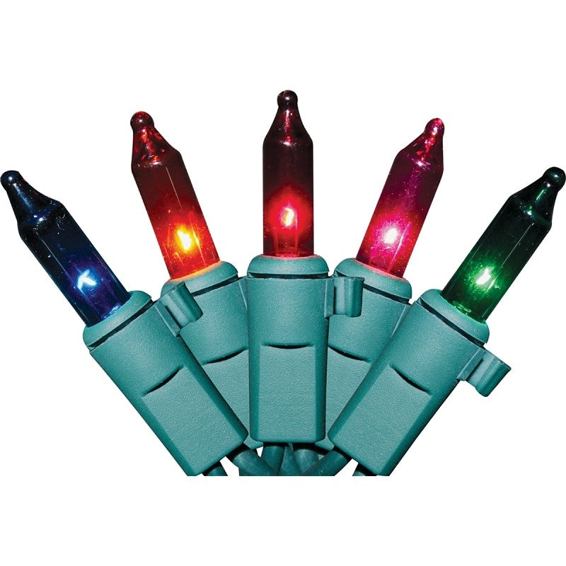Hometown Holidays 07520 Light String, 25-Lamp, LED Lamp (Pack of 24)