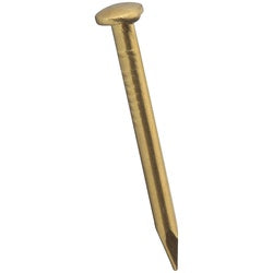Escutcheon Pins Solid Brass 16 Gauge By 3/4 Inch