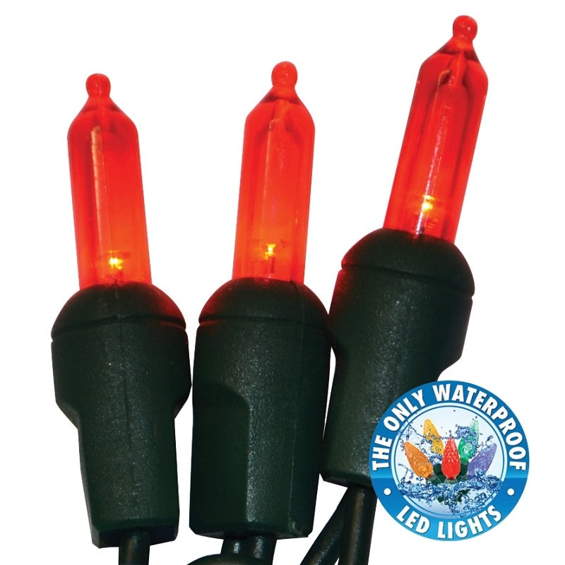 Holiday Bright Lights LEDBX-T550-RD6 Light Set, 50-Lamp, LED Lamp, Red Lamp, 50,000 hr Average Life, 26 ft L