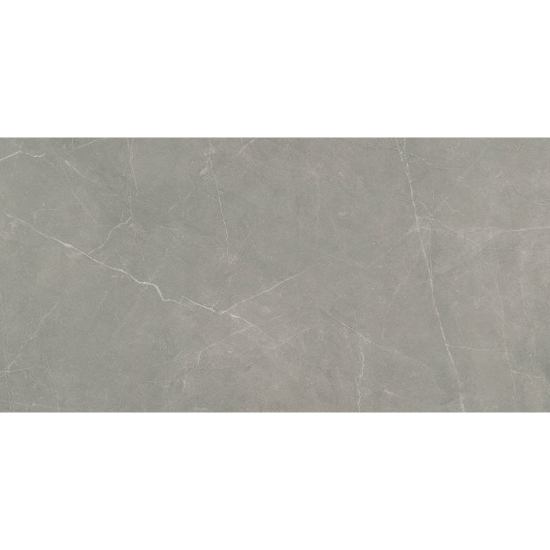 Emser Tile Sterlina II Series F20STERDO1224 Porcelain Tile, 24 in L Tile, 12 in W Tile, Rectified Edge, Dove