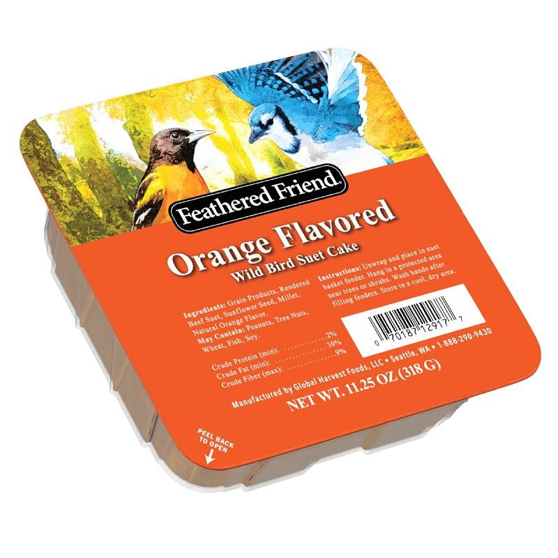 Audubon Park 13768 Orange Flavored Suet, 11.25 oz (Pack of 12)