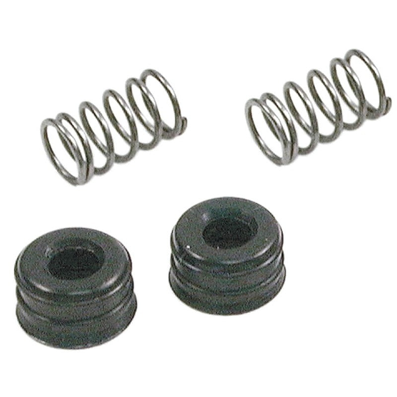 Danco 88745 Seat and Spring Assembly, Rubber/Stainless Steel, For: Sterling Faucet Models #021 Thru #026