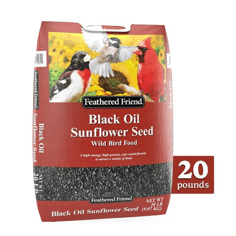 Feathered Friend 14421 Black Oil Sunflower Seed, 20 lb