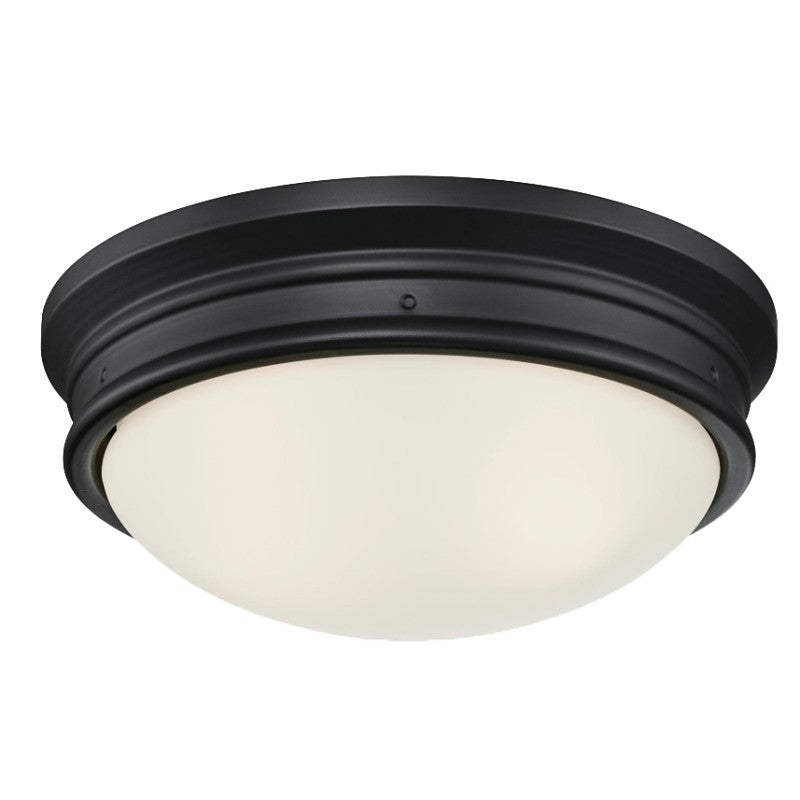 Westinghouse Meadowbrook Series 6324100 Flush Mount Ceiling Fixture, 120 VAC, 2-Lamp, Black Fixture, Matte Fixture