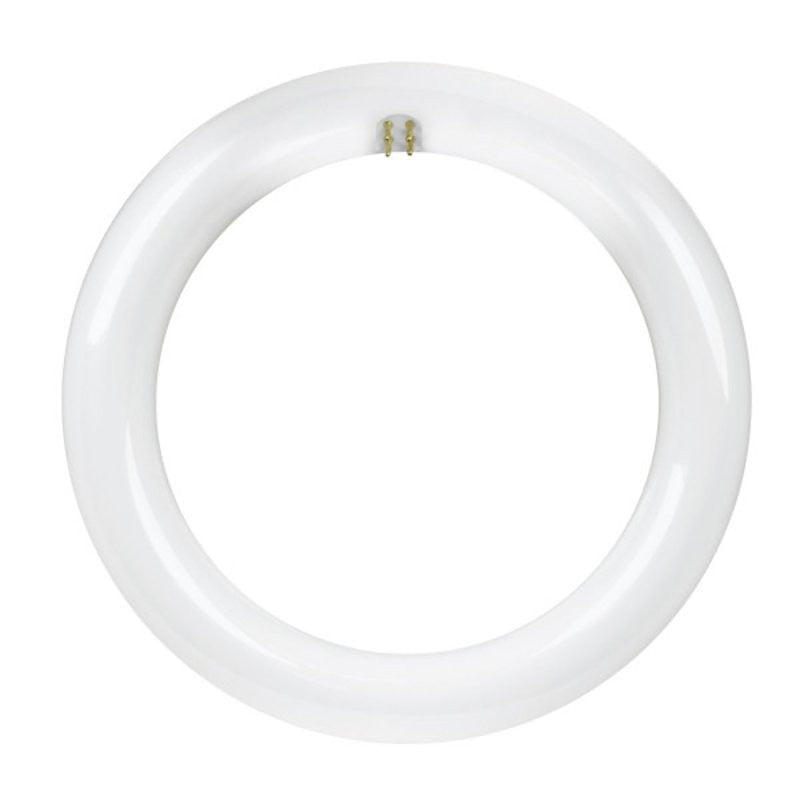 Feit Electric FC8/840/LED LED Bulb, Linear, T9 Lamp, 22 W Equivalent, G10Q Lamp Base, Frosted, Cool White Light (Pack of 4)