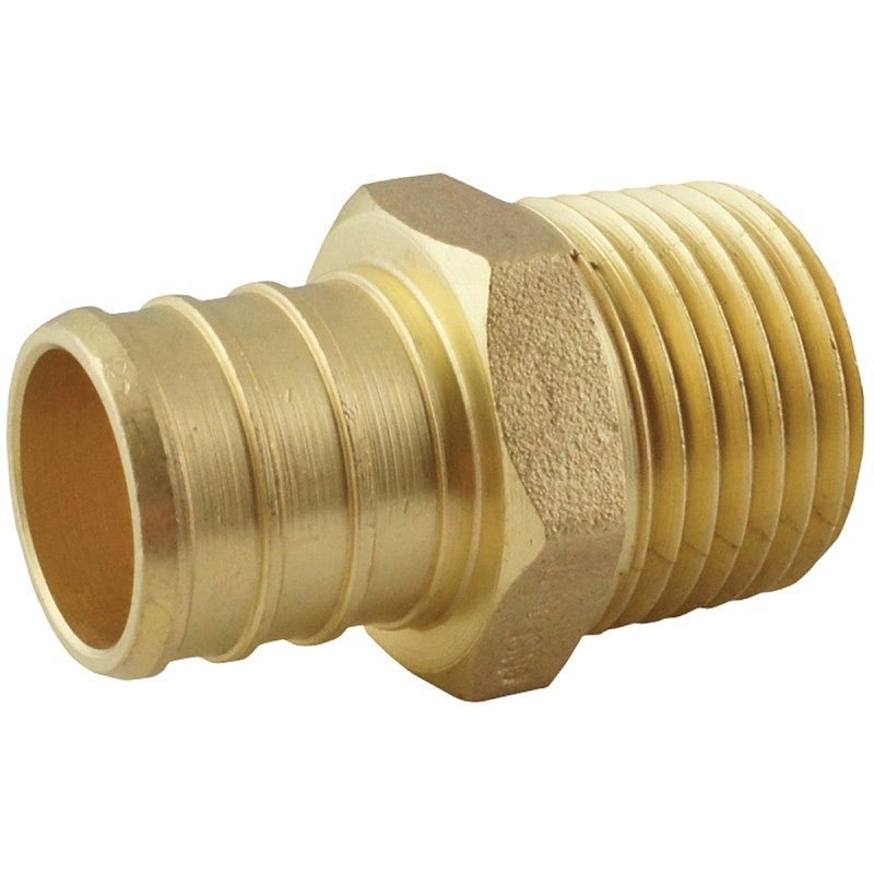 Apollo APXMA1234 Pipe Adapter, 3/4 x 1/2 in, PEX x MPT, Brass, 200 psi Pressure