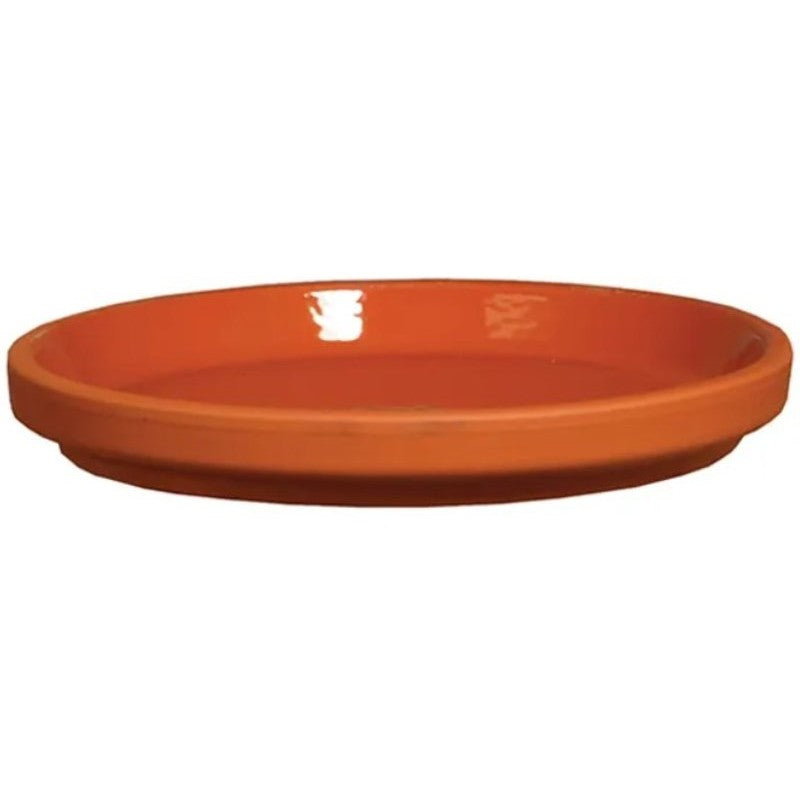 Border Concepts 801685 German Inner Glazed Saucer, 3-1/2 in Dia, Clay, Red (Pack of 16)