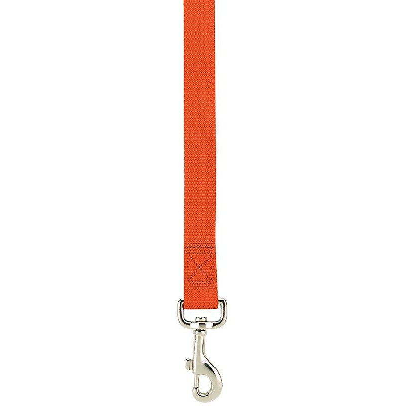 Casual Canine ZM2392 64 69 Dog Lead, 6 ft L, 5/8 in W, Nylon, Orange