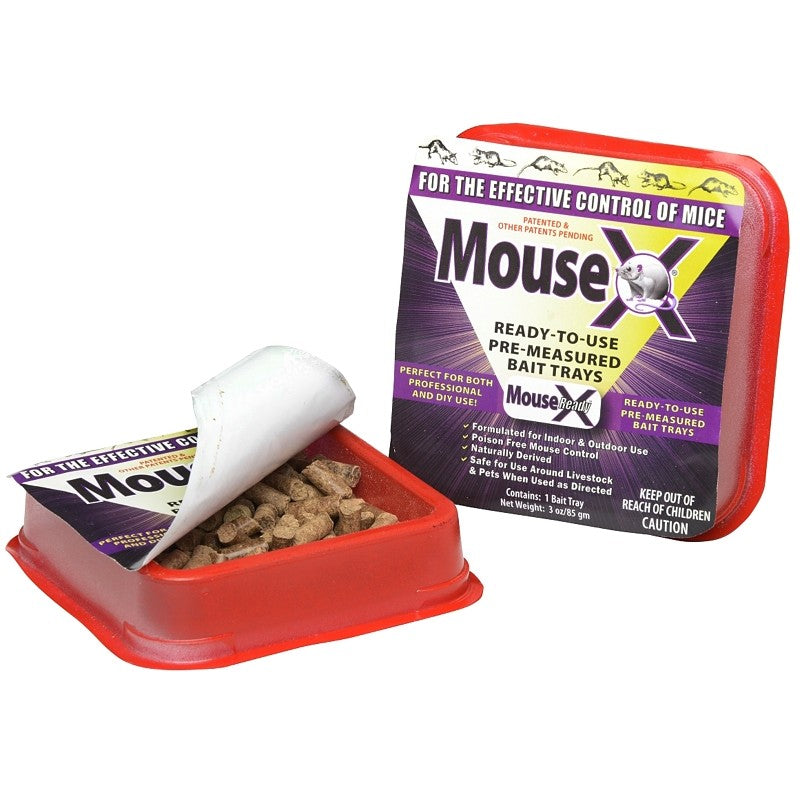 MouseX 620107 Bait Tray, 9.6 oz Pack
