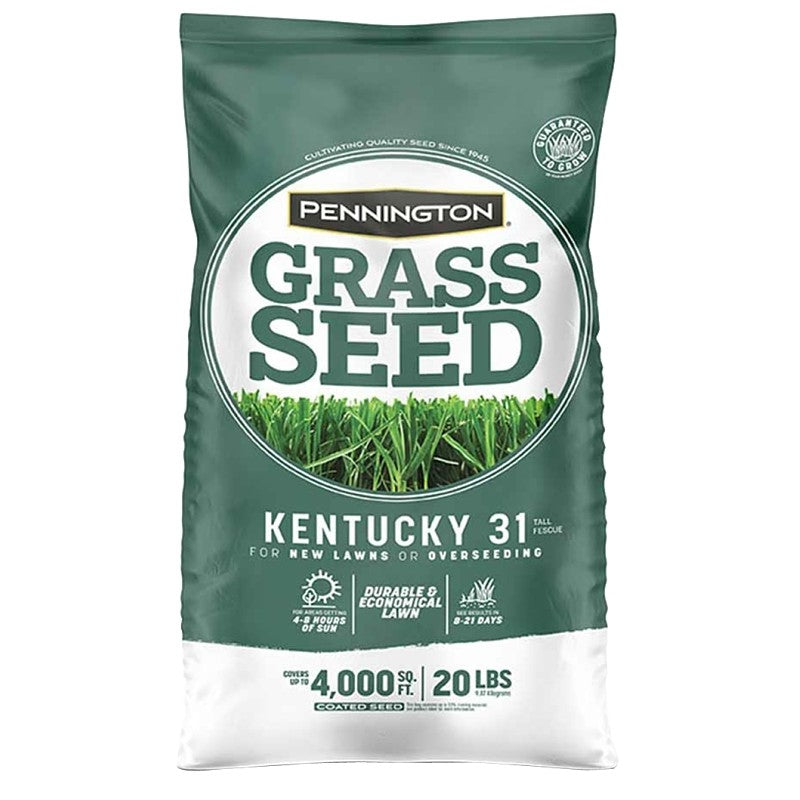 Pennington 100543701 Kentucky Fescue Grass Seed, 20 lb Bag