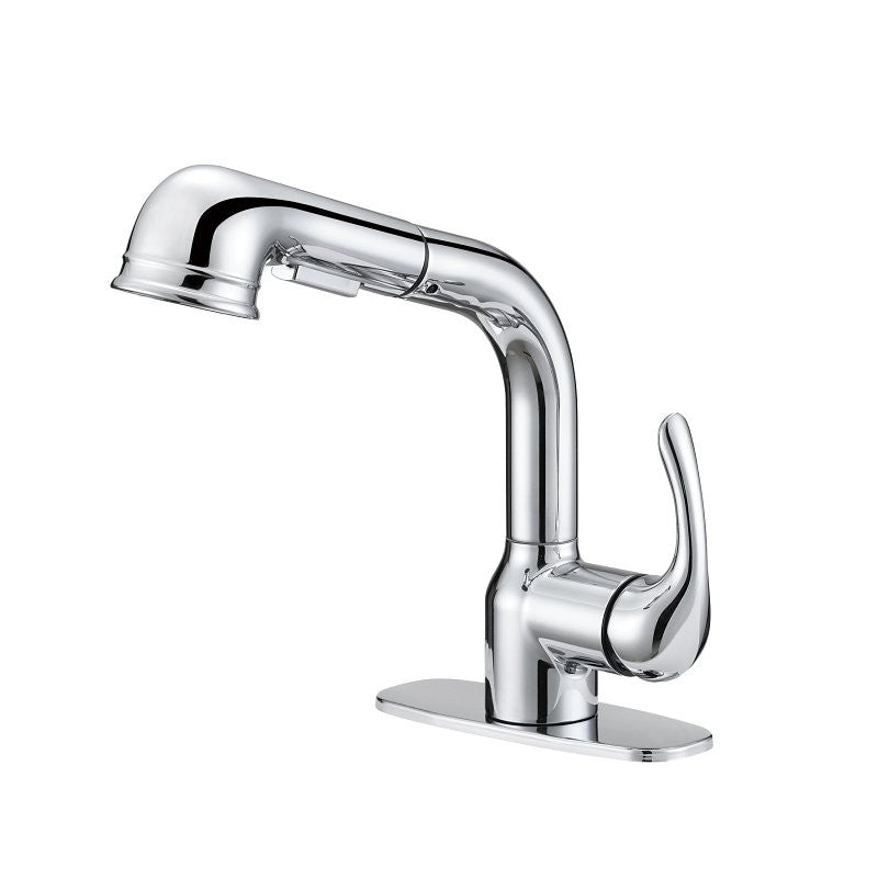 PULL-OUT LNDRY FAUCET 1H CHRM