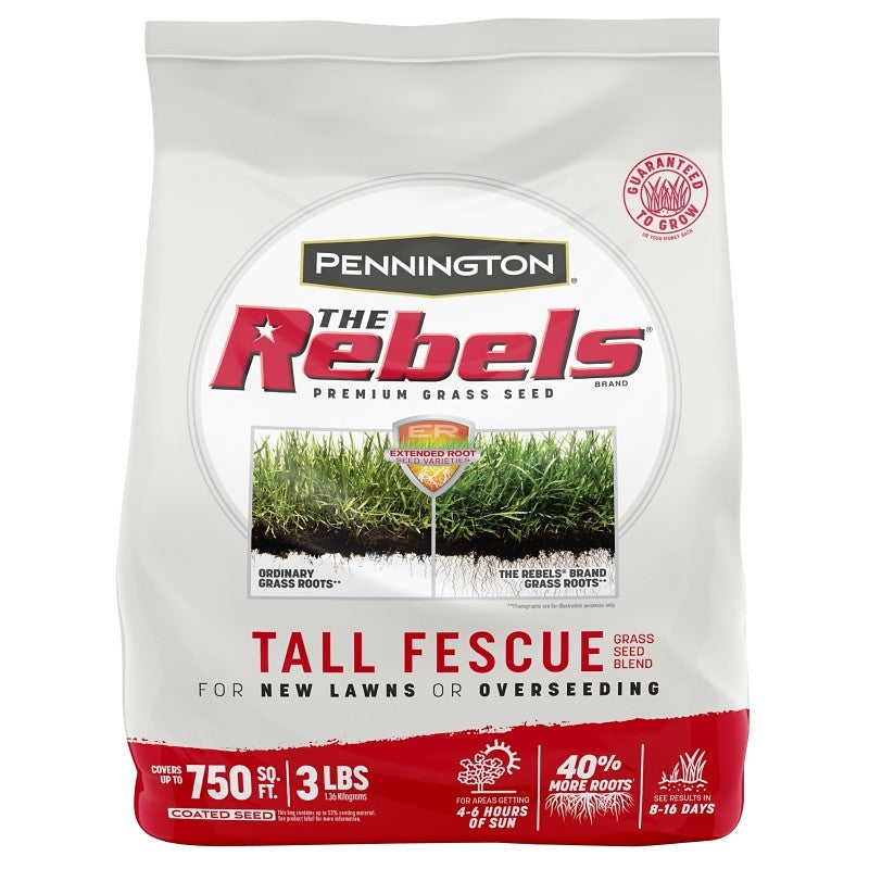 Pennington 100543728 Grass Seed, 3 lb Bag, 750 sq-ft Coverage Area, Tall Fescue, 2/PK