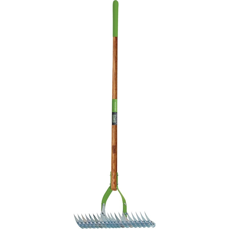 Ames 2915100 Thatch Rake, 15 in W Head, 19-Tine, Steel Tine, 54 in L Handle