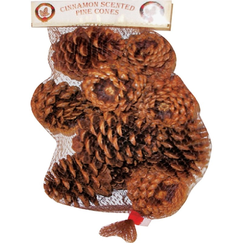 Hometown Holidays 70410-20 Christmas Specialty Decoration, Scented Pine Cone, Natural Wood/Cinnamon Oil, Brown (Pack of 20)