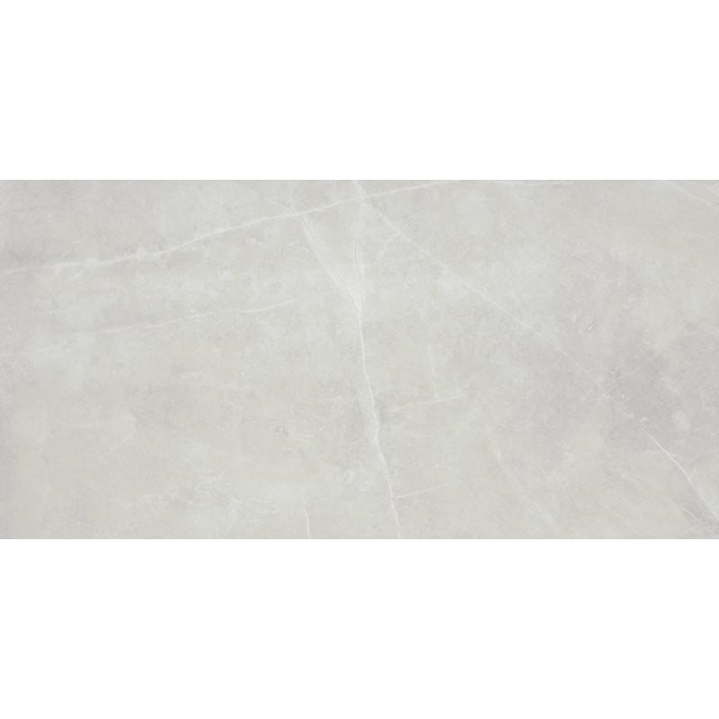 Emser Tile Sterlina II Series F20STERSI1224 Porcelain Tile, 24 in L Tile, 12 in W Tile, Rectified Edge, Silver