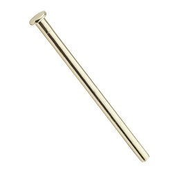 Replacement Hinge Pins 4 Inch Bright Brass 4 Pack (POS)