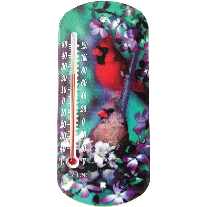 Taylor 5204 Thermometer, 1/2 x 4 x 8 in Dimensions, -40 to 120 deg F