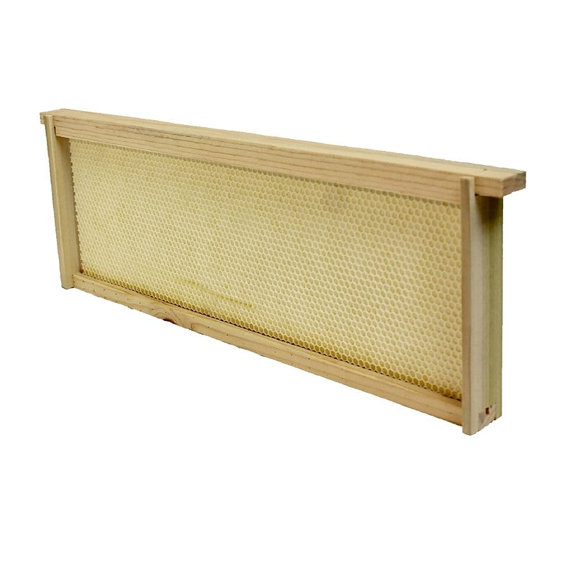 Harvest Lane Honey WWFFM-102 Bee Hive Foundation, Plastic/Wood, For: 6-7/8 in Medium Honey Super Boxes