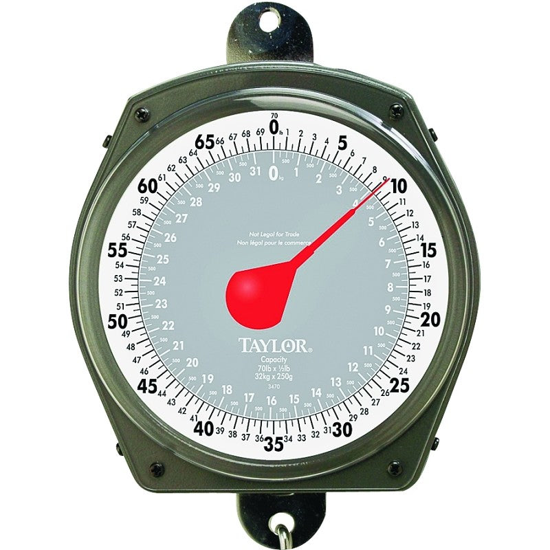 Taylor 3470 Hanging Scale, 70 lb, Analog Display, Steel Housing Material