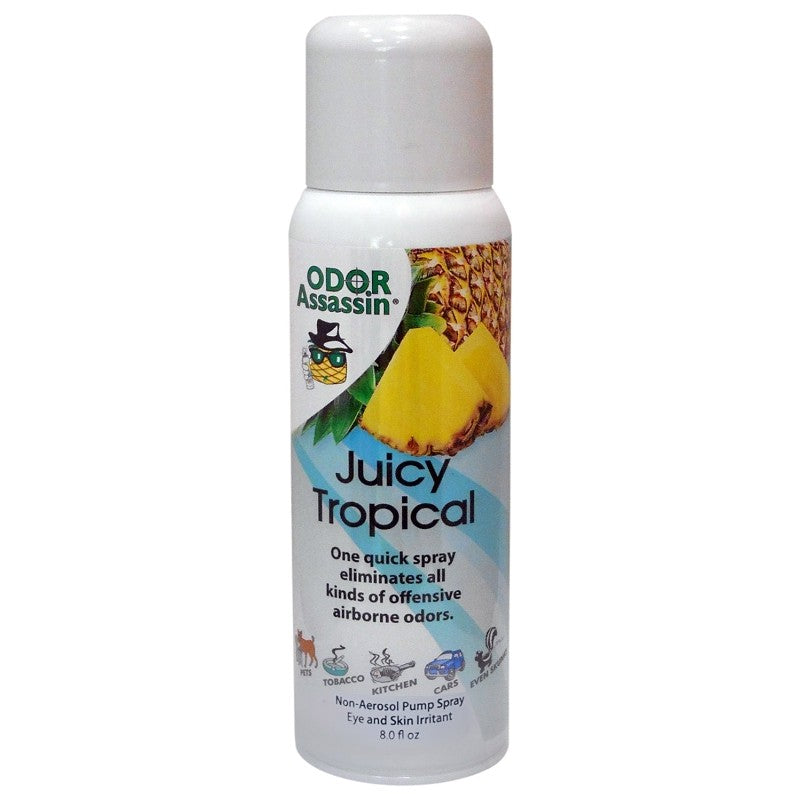 Odor Assasin 124951 Odor Eliminator, 6 oz Can, Orange Terpenes (Pack of 3)