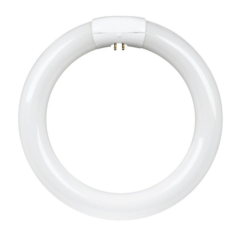 Feit Electric FC8T9/D Fluorescent Bulb, 22 W, T9 Circline Lamp, G10q 4-Pin Lamp Base, 980 Lumens, Daylight Light (Pack of 6)