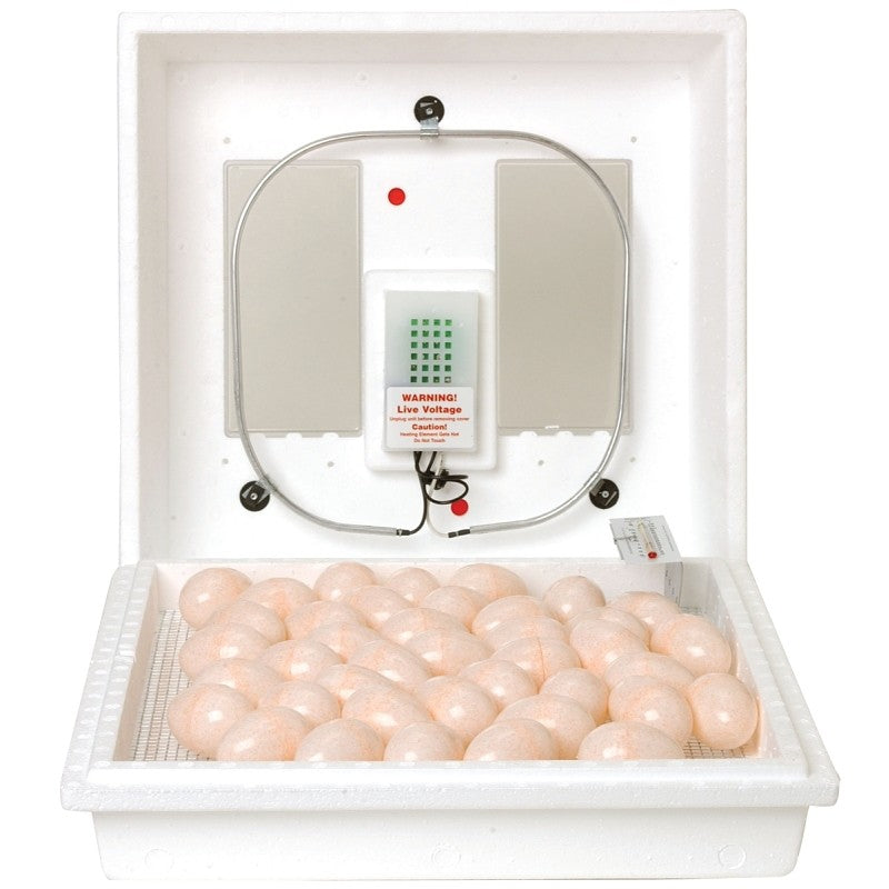 Little Giant 9300 Egg Incubator, 110 V, 41 Large Chicken Eggs Egg, Styrofoam
