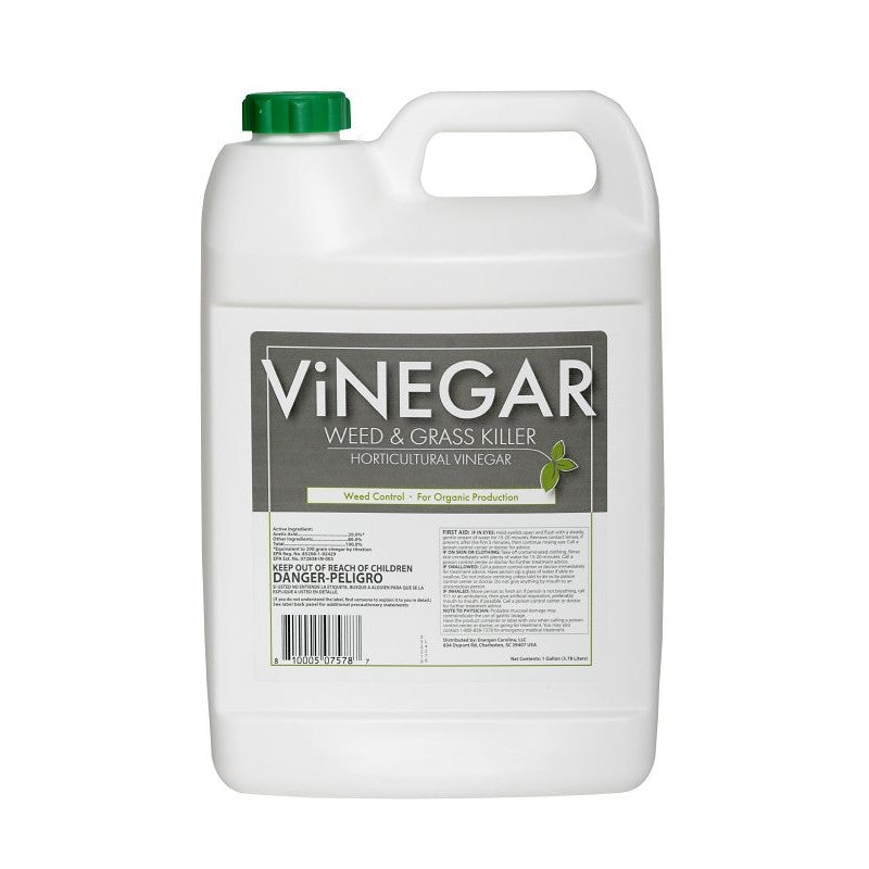 Sanco Vinegar Series 578 Weed and Grass Killer, Liquid, Colorless, 1 gal