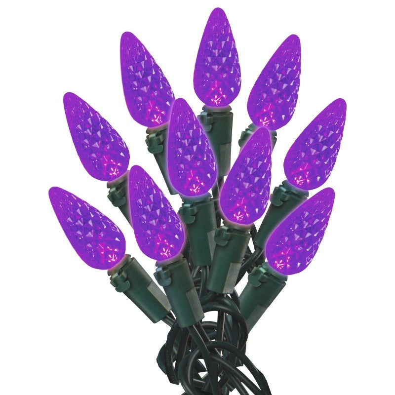 Hometown Holidays U15E265H Light Set, Christmas, 120 V, 4.8 W, 60-Lamp, LED Lamp, Purple Lamp, 14.96 ft L