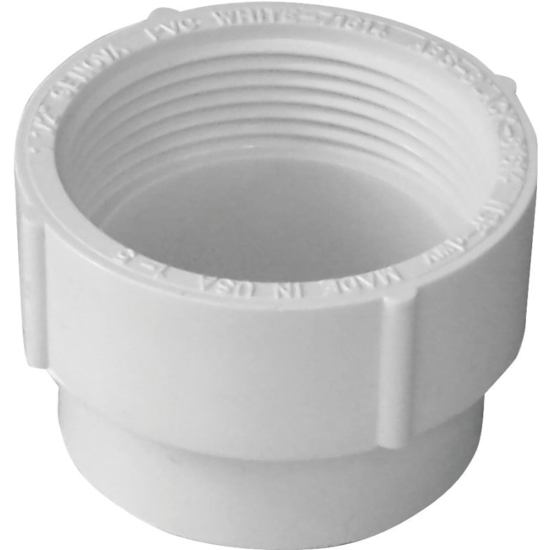 Canplas 193706S Cleanout Adapter, 6 in, Spigot x FNPT, PVC, White