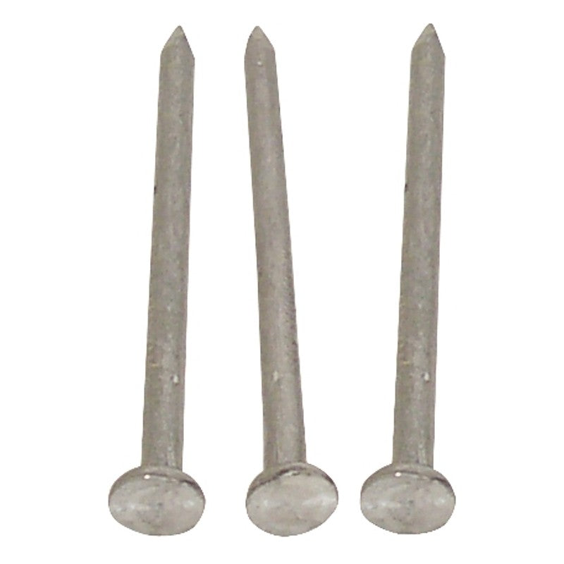 NAIL CMMN BRT 8D 2-1/2IN 50LB