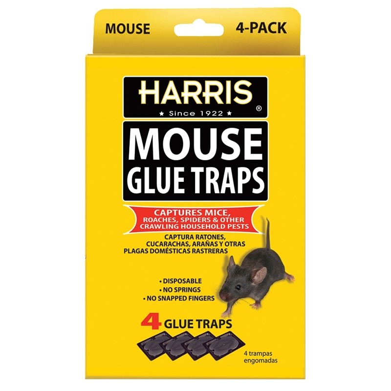 Harris HMG-4 Mouse Glue Trap, Pre-Baited, Cardboard