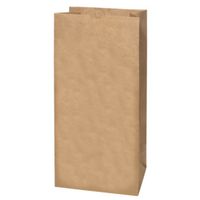 LAWN&LEAF BAG 2-PLY PAPER 30GA