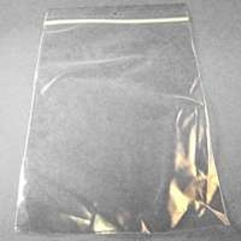 Centurion 1179 Reclosable Bag, 5 in L, 3 in W, 2 mil Thick, Polyethylene, Clear