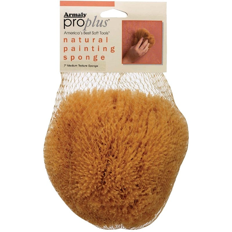 Armaly ProPlus 15216-7 Textured Painting Sponge, 5 in W, Medium