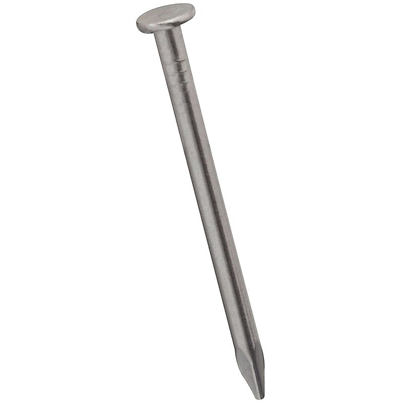 National Hardware N278-341 Wire Nail, 7/8 in L, Stainless Steel, 1 PK