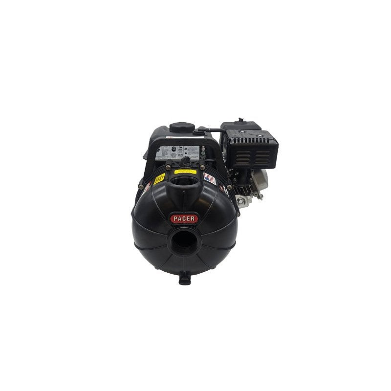 Pacer Pumps SEB2PL-E5.5 Self-Priming Centrifugal Pump, 6 hp, 2 in Outlet, 120 ft Max Head, Glass Reinforced Polyester
