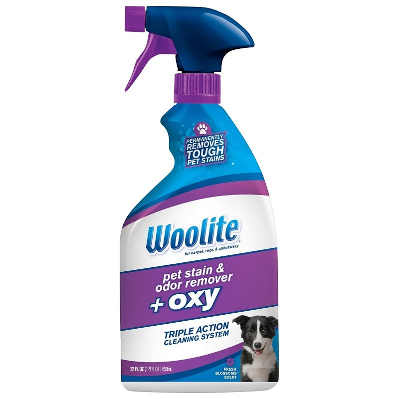 Bissell Woolite 0890 Pet Stain and Odor Remover, Liquid, Characteristic, 22 oz, 1/PK