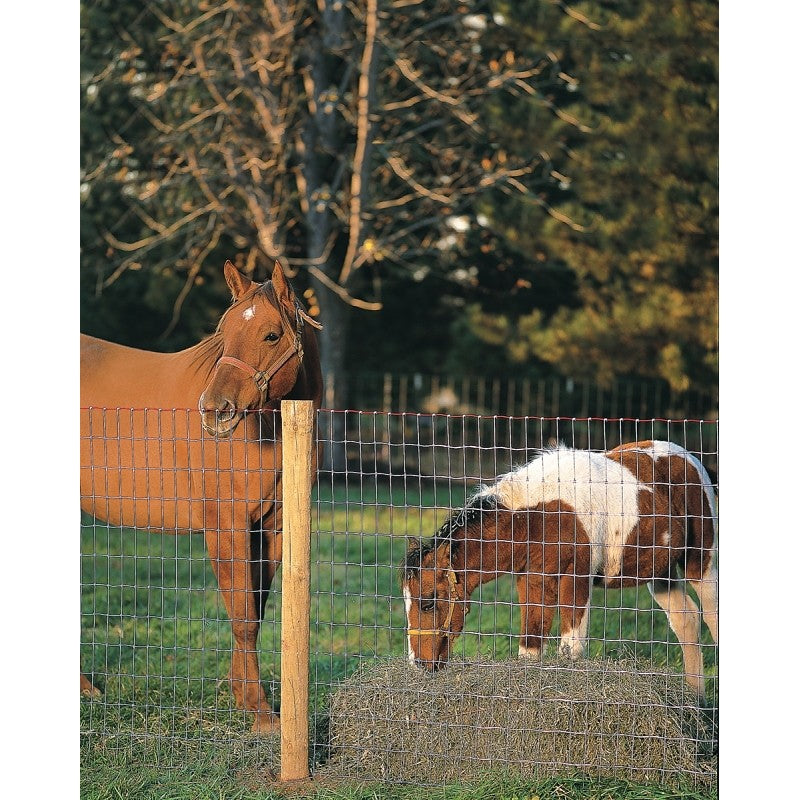 Red Brand Square Deal Tradition 70310 Horse Fence, 100 ft L, 48 in H, Non-Climb Mesh, 2 x 4 in Mesh, 12.5 ga Gauge