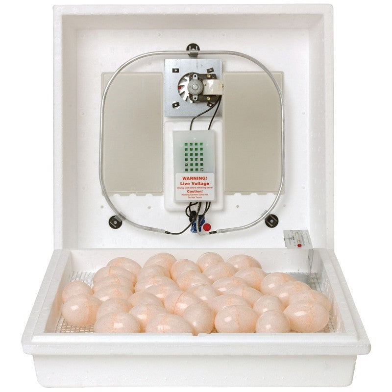 Little Giant 10300 Egg Incubator, 41 Large Chicken Eggs Egg, 99.5 deg F, Styrofoam