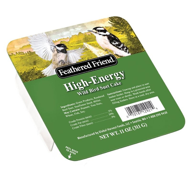 Audubon Park 13065 High Energy Suet, 11 oz