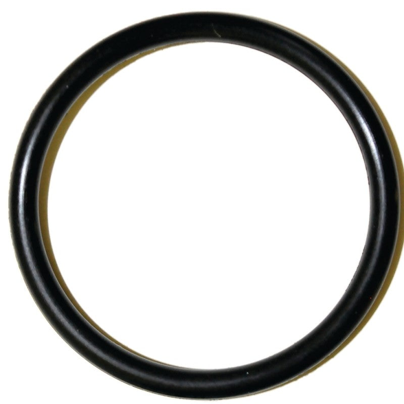 Danco 35778B Faucet O-Ring, #64, 1-1/8 in ID x 1-5/16 in OD Dia, 3/32 in Thick, Buna-N (Pack of 5)