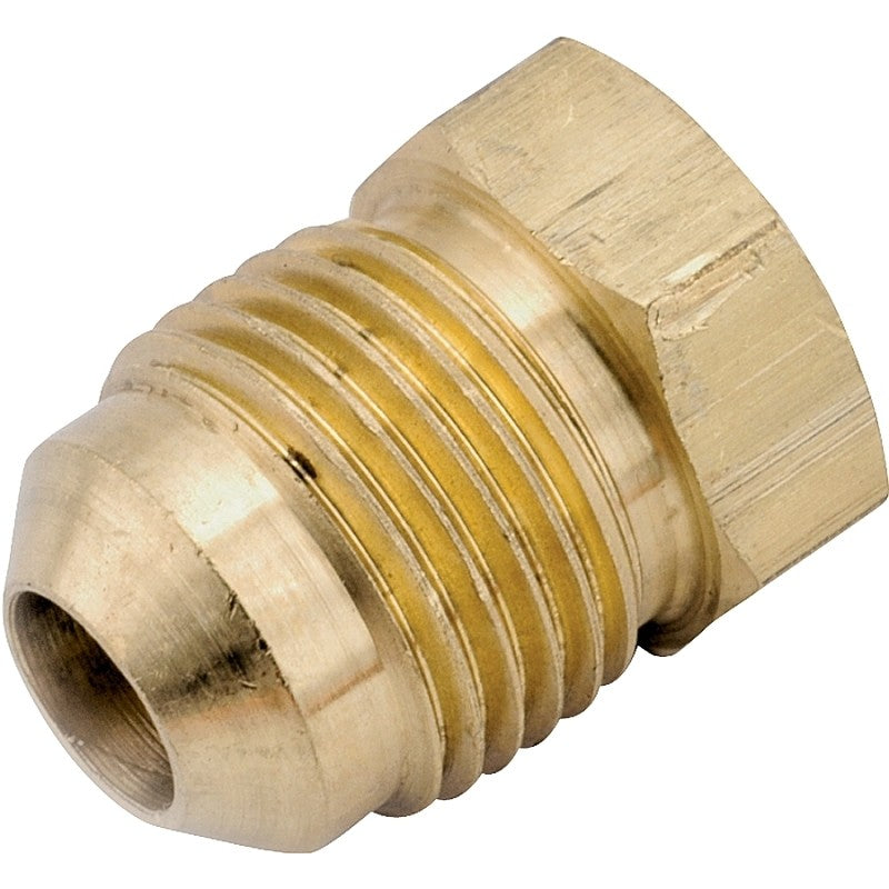 Anderson Metals 754039-10 Pipe Plug, 5/8 in, Flare