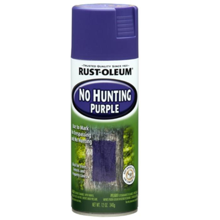 Rust-Oleum 270970 Spray Paint, Purple, 12 oz, Can