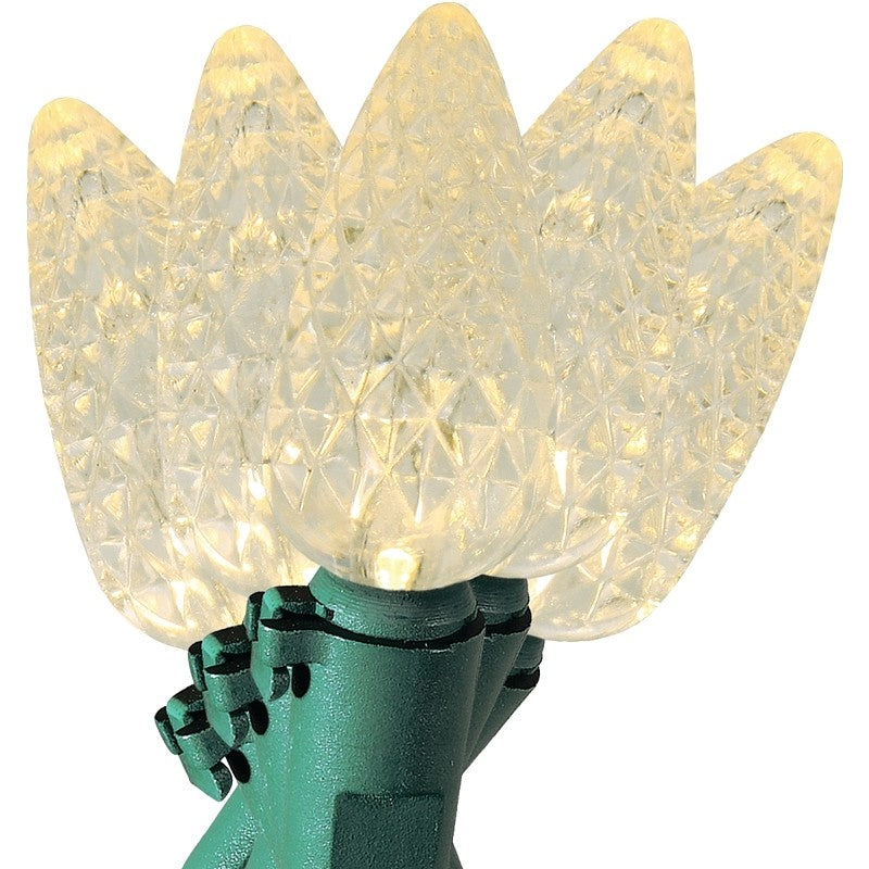 Sylvania V47829-49 Light Set, Christmas, 120 V, 4.8 W, 50-Lamp, LED Lamp, Warm White Lamp, 13.58 ft L