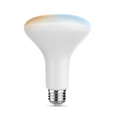 Feit Electric BR30/CCT/CA/AG Smart Wi-Fi Light Bulb, 7.2 W, Wi-Fi Connectivity: Yes, App Control, E26 Medium Lamp Base