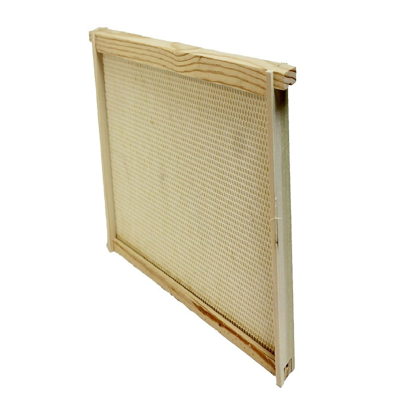 Harvest Lane Honey WWFFD-101 Bee Frame, Plastic/Wood