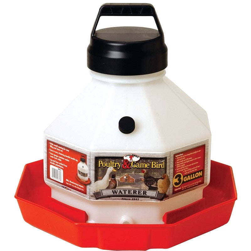 Little Giant PPF3 Poultry Waterer, 3 gal Capacity, Plastic (Pack of 2)
