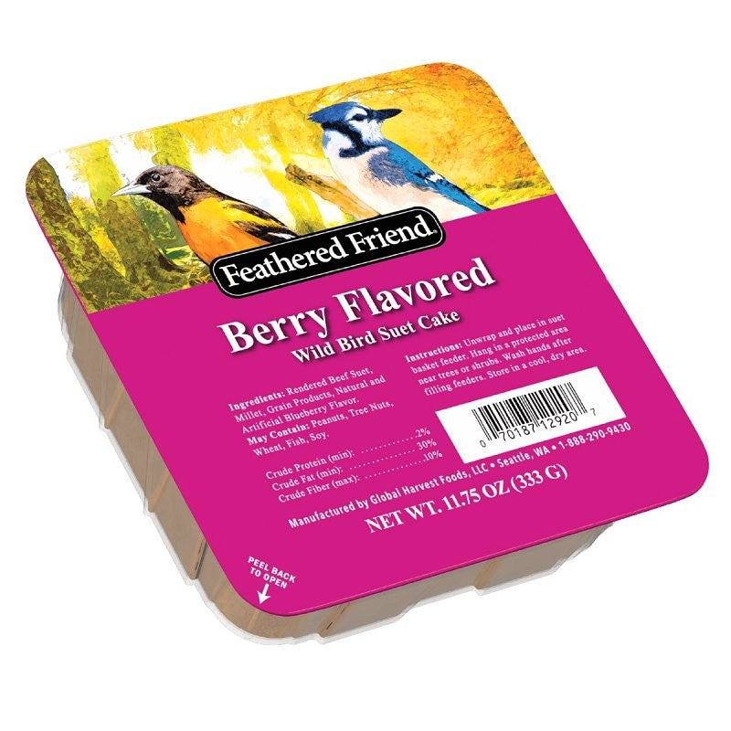 Audubon Park 13066 Berry Treat Suet 11.7 5oz (Pack of 12)