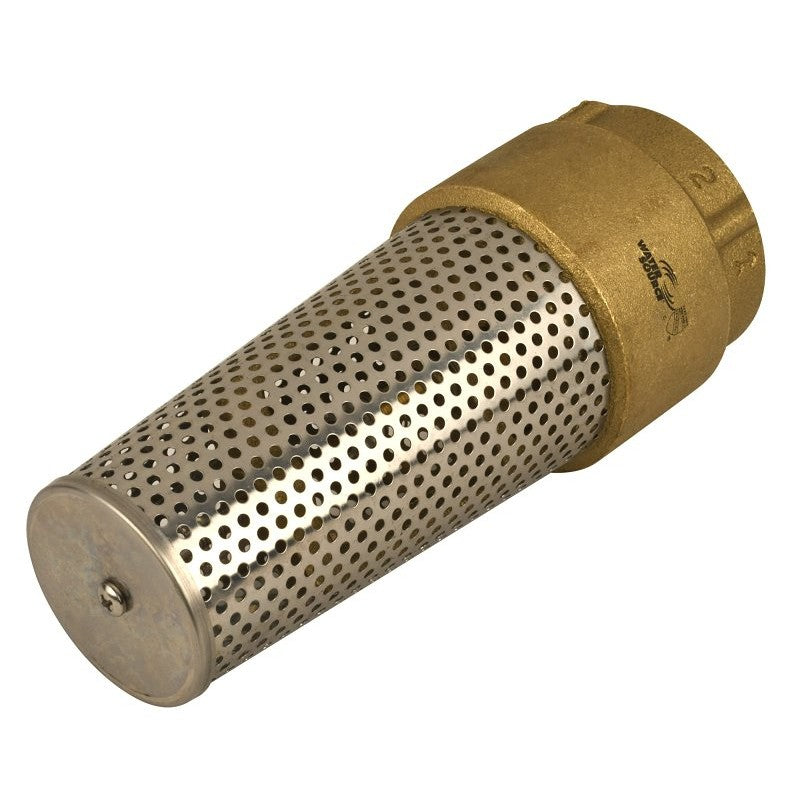 Water Source TFV200NL-RM Foot Valve, 2 in Connection, FNPT, 200 psi Pressure, Brass Body